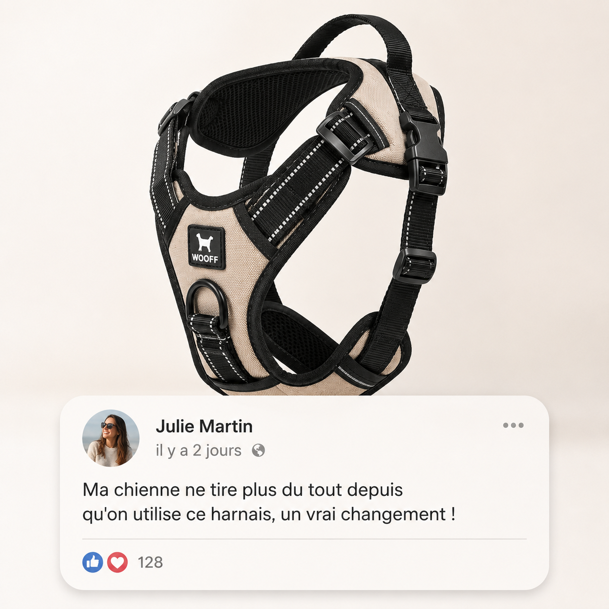 Harnais Anti-Traction PawZen — Reprenez le Contrôle de Vos Balades