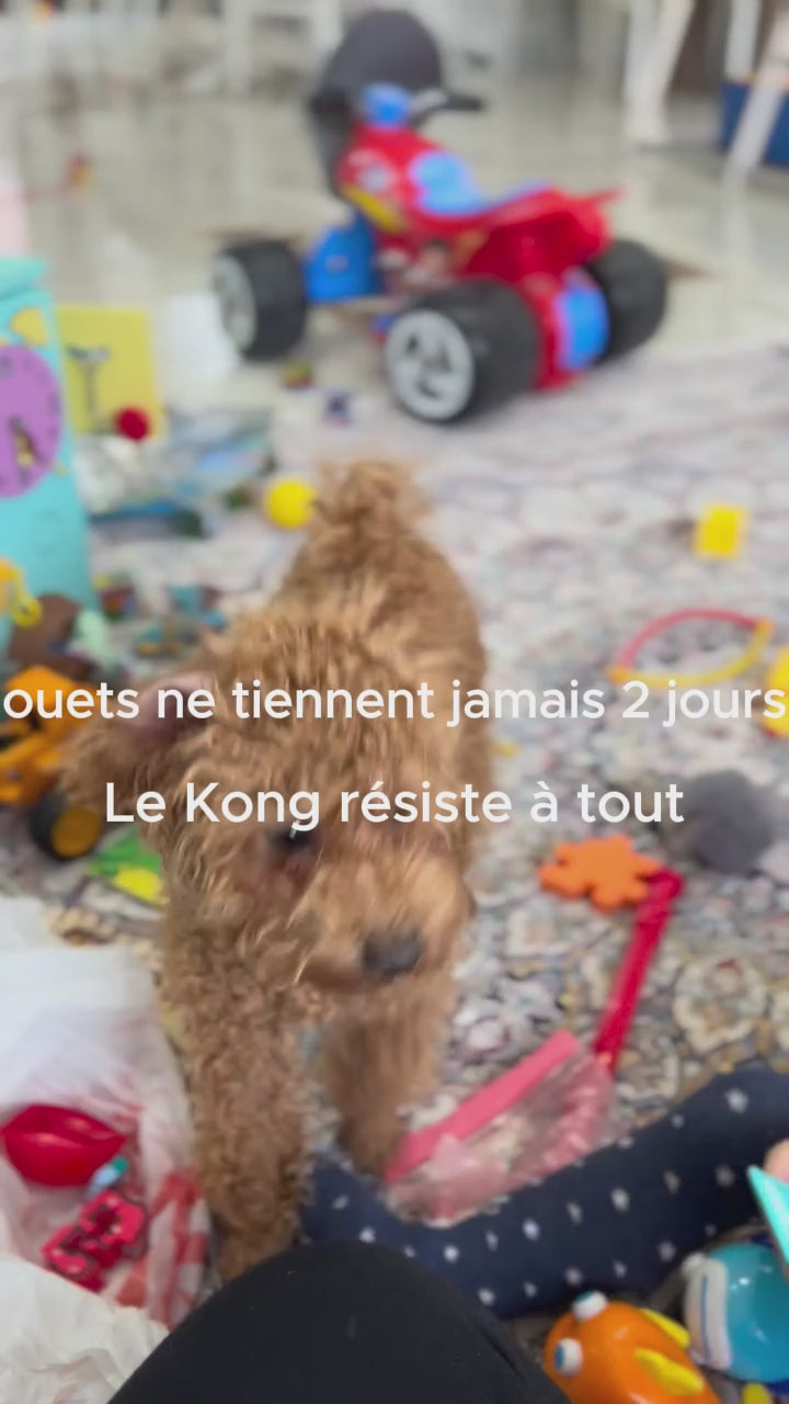 Jouet à Mâcher pour Chien — Résistant & Amusant